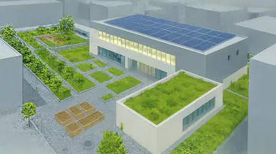 İzmir çatılarda yeşil devrimi başlatıyor