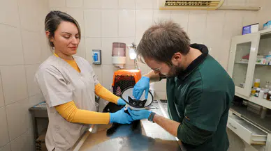 Gaziemir Belediyesi 6 bin 222 can dostun yaşamına dokundu