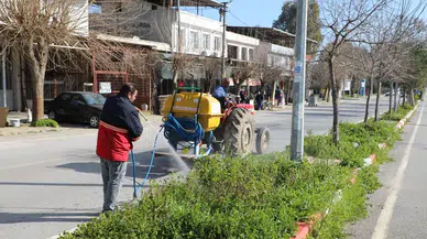Menderes’te Ot İlaçlamaları Başladı