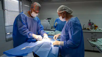 Ağır yaralı bulundu, sağlıklı şekilde doğaya salındı