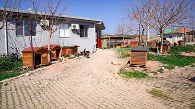 Başkan Yetişkin: “Artık çöpe giden yemekler can dostlarımız için mamaya dönüşüyor”