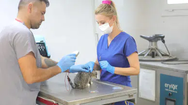 Bayraklı’daki Hayvan Bakımevinde Kapsamlı Yenileme