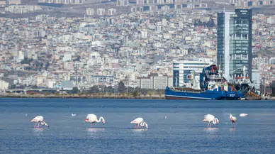 Siyasi Komite’ye yeniden seçildi