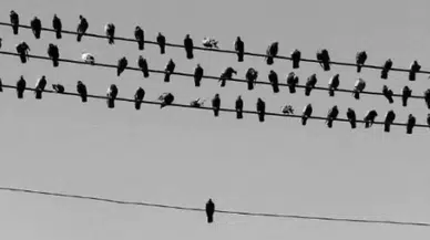 Yalnızlık ve İnsan Yaşamına Etkisi