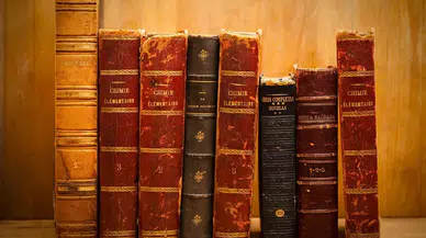 Edebiyatın Evrensel Temaları