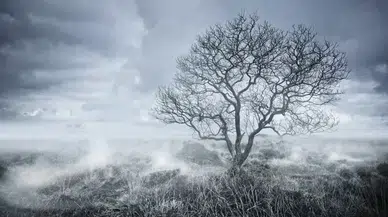 Umutsuzluk ile Yaşamak