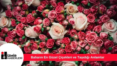 Baharın En Güzel Çiçekleri ve Taşıdığı Anlamlar