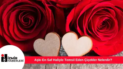 Aşkı En Saf Haliyle Temsil Eden Çiçekler Nelerdir?