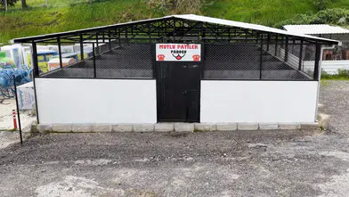 Gaziemir Belediyesi yeni bakımevi ile sokak hayvanlarına daha iyi hizmet sunacak