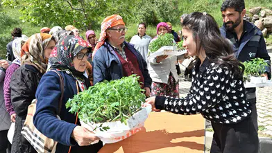 Bornova, Üreticilere Destek Verdi: 150 Bin Yazlık Sebze Fidesi Dağıtıldı!