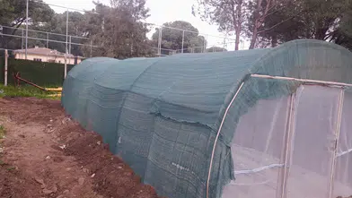 Çöpü Toprağa Sorduk, Cevabi Fide Verdi