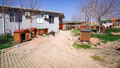 Başkan Yetişkin: “Artık çöpe giden yemekler can dostlarımız için mamaya dönüşüyor”