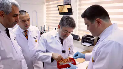 Ata tohumları ulaşılabilir hale geliyor… Tescilli tohum sayısı 49’a çıkacak