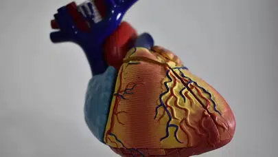 65 Yaş Üstü Kalp Hastaları İçin Büyük Tehlike: Geç Kalmayın!