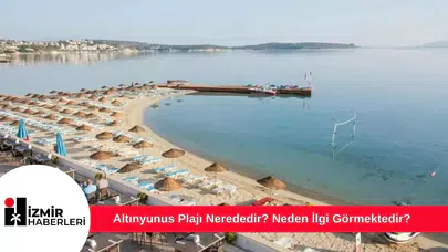 Altınyunus Plajı Nerededir? Neden İlgi Görmektedir?