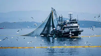 Denizlerde Av Yasağı 15 Nisan'da Başlıyor