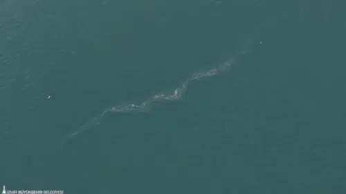 “Sistematik çevre ihlali endişe veriyor”