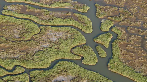 Gediz Havzası’nda kirlilik artıyor