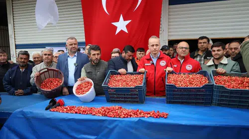 Kiraz hasreti bu sene bitiyor