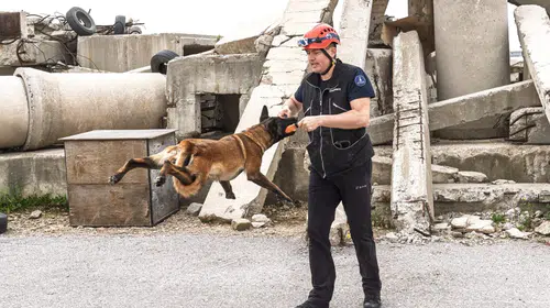 Momo enkaz için eğitiliyor