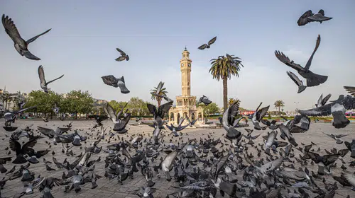 İzmir’in 2074 vizyonu Kültürpark’ta sergiye dönüşecek
