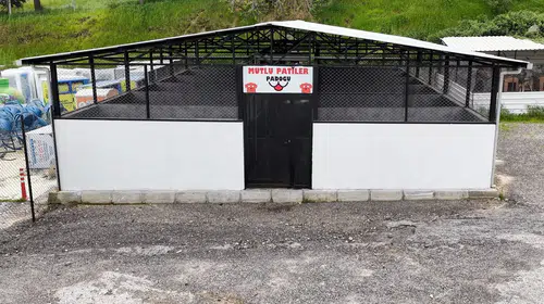 Gaziemir Belediyesi yeni bakımevi ile sokak hayvanlarına daha iyi hizmet sunacak