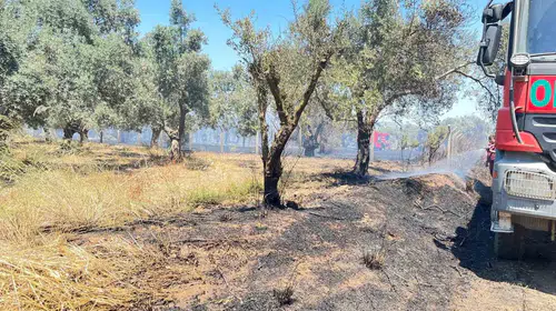 Bayındır'da alevler tarım arazilerini tehdit etti: Ekipler zamanla yarıştı