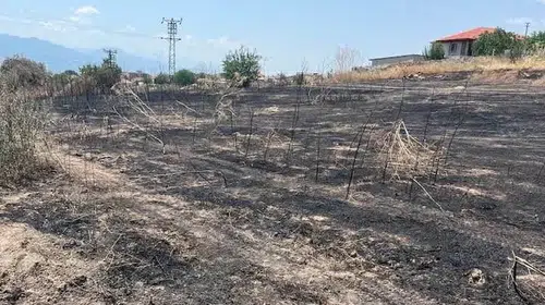 Çavuşlar Mahallesi’nde alevlerle mücadele: Felaketin eşiğinden dönüldü