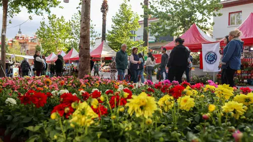 27. Uluslararası Bayındır Çiçek Festivali'nin Programı Belli Oldu