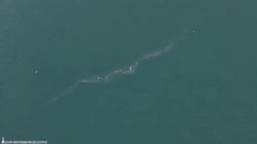 “Sistematik çevre ihlali endişe veriyor”