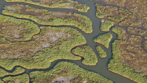 Gediz Havzası’nda kirlilik artıyor