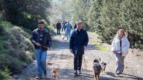 Barınaklardan 3 binin üzerinde hayvan sahiplendirildi