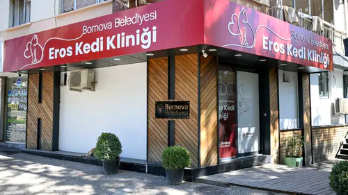 Eros Kedi Kliniği Bornova’da umut merkezi oldu