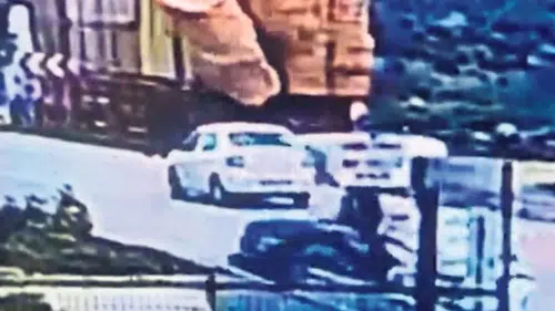 Saman balyaları canından etti