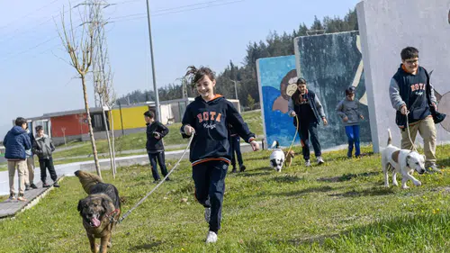 “Satın alma, sahiplen” çağrısı