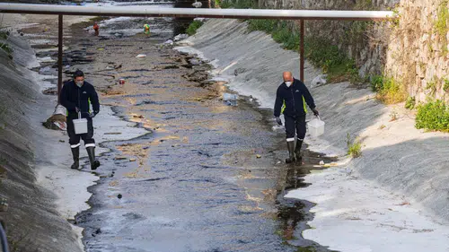 “Mevsimsel sinekler zararsız”