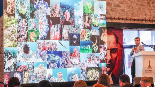 İzmir Körfezi'ne bilimsel bakış