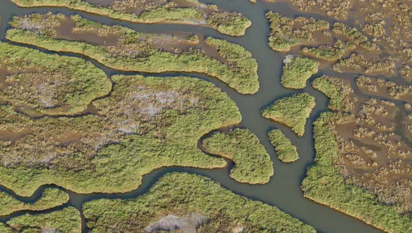 Gediz Havzası’nda kirlilik artıyor