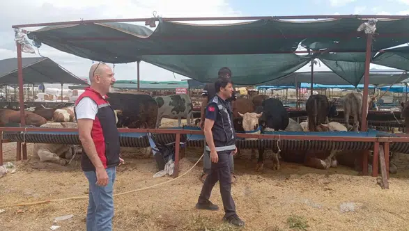 Çiğli’de Kurban Bayramı Denetimleri Aralıksız Sürüyor