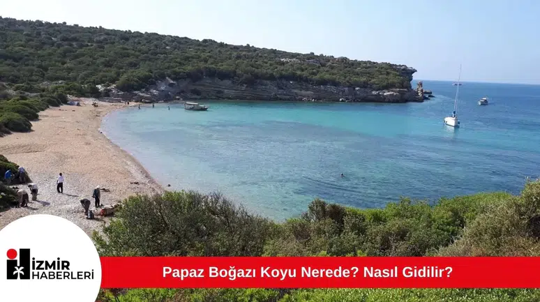 Papaz Boğazı Koyu Nerede? Nasıl Gidilir?