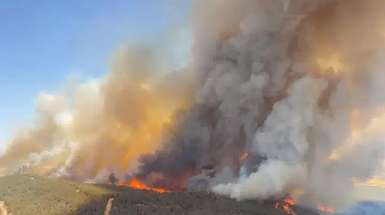 Foça’nın Kalbinde Orman Yangını!