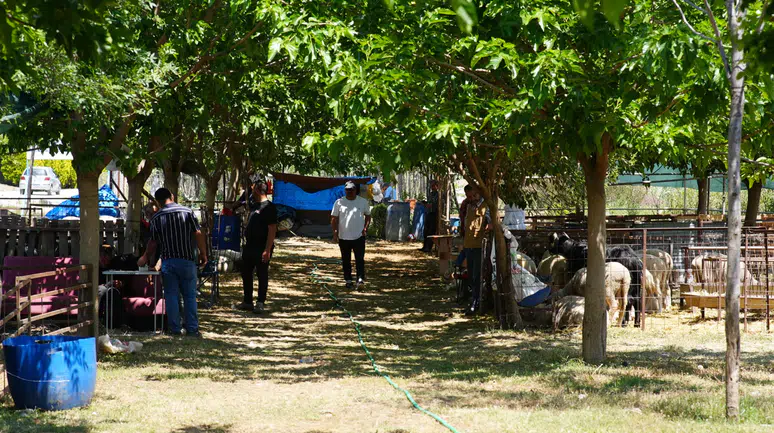 Seferihisar Belediyesi’nden Kurban Bayramı’nda dayanışma çağrısı