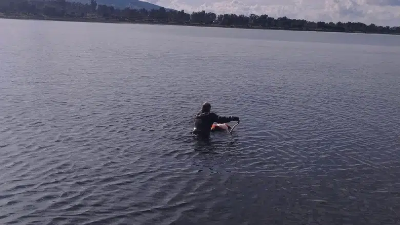 Flamingoya hayat veren kurtarma operasyonu