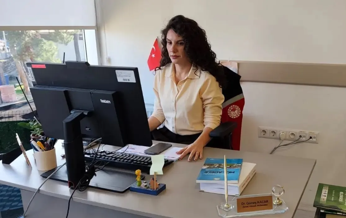 Manisa üzümünde sıcaklık alarmı: Hasadı kurtaracak altın değerinde tavsiyeler