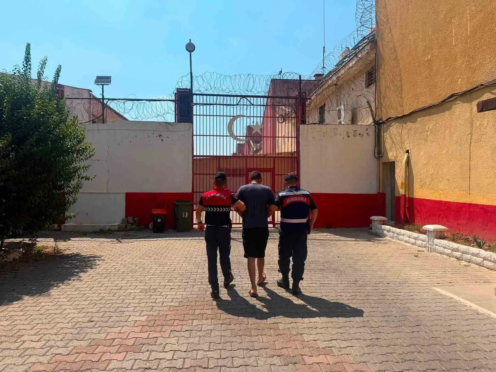 Koçarlı’da besiciyi şoke eden hırsızlık: Jandarma şüpheliyi cezaevine gönderdi