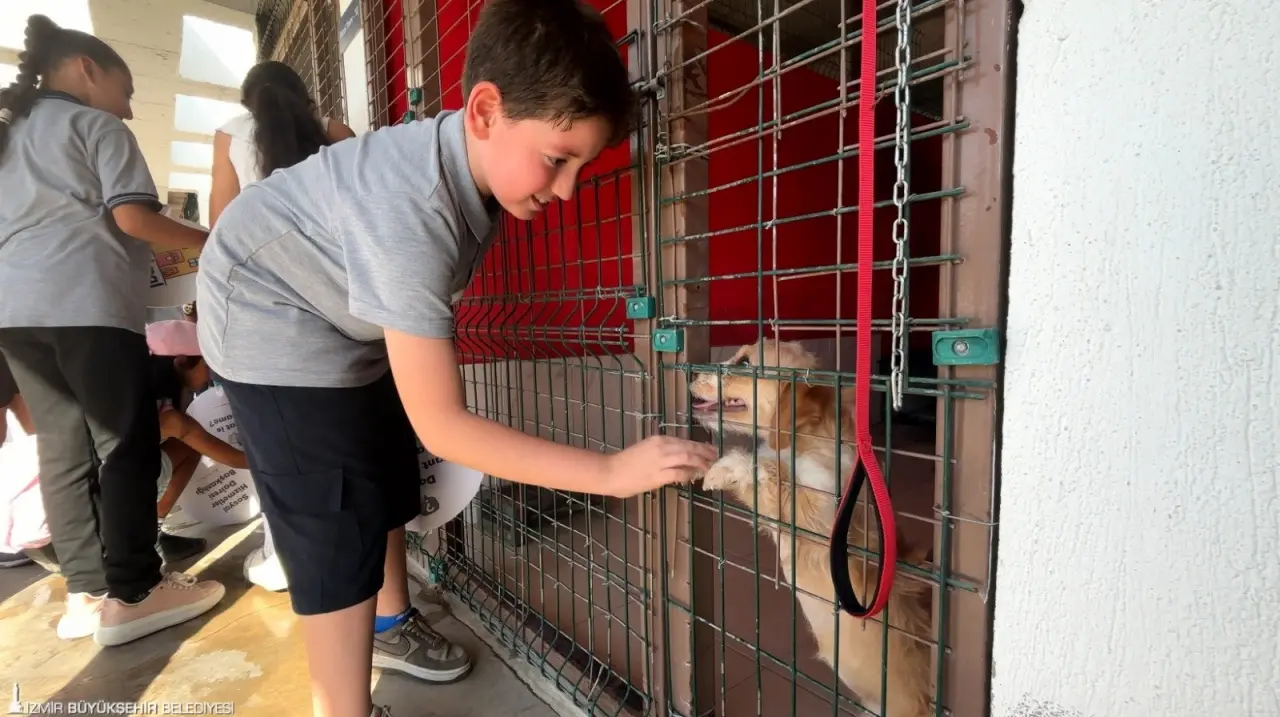 İzmir Büyükşehir Belediyesi’nin sunduğu eğitim hizmetlerinden biri olan İngilizce Speaking Club etkinliği, Pako Sokak Hayvanları Sosyal Yaşam Kampüsü ziyareti ile başladı. Etkinliğe katılan ilkokul öğrencileri, İngilizce ve Türkçe anlatımla hayvanları tanıdı. 