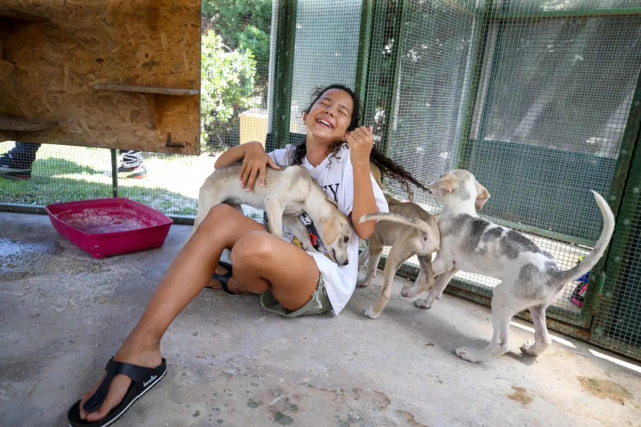 Karşıyaka Belediyesi’nin ruhsat ve oturma raporu başvurularında uyguladığı mama bağışı kampanyası, Karşıyakalıların dayanışması ile büyüyor. Sokak hayvanlarının beslenmesine sürdürülebilir bir destek sağlayan uygulama sayesinde bağışlanan mama miktarı 25 tona ulaştı. Belediye Başkanı Yıldız Ünsal, “Karşıyaka’yı, tüm canlıların güvenle ve sevgiyle yaşayabildiği bir kent haline getirmek için çalışmalarımızı kararlılıkla sürdüreceğiz” dedi.