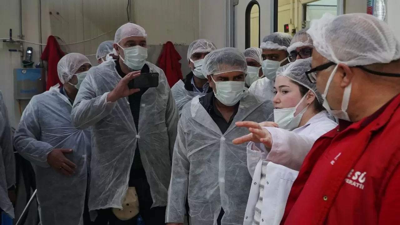 İranlı Kooperatif Heyeti, Tire Süt Kooperatifi'ni Ziyaret Ederek İş Birliğini Güçlendirdi.