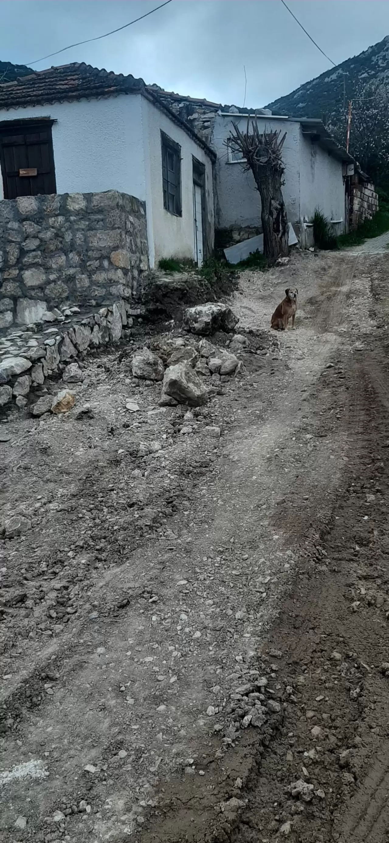 Karaburun’un Bozköy Mahallesi'nde tamamlanmayan yollar ve altyapı eksikliği halkı isyan ettirdi. Ambulans giremiyor, dolmuşlar çalışmıyor! Belediye ne yapacak?