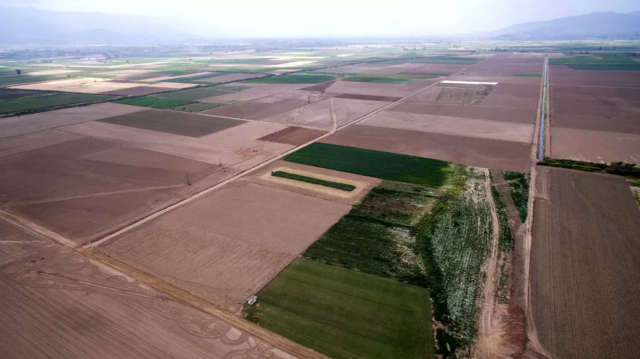 Tarım ve Orman Bakanlığı, Küçük Menderes Havzası'nda büyük bir dönüşüm başlattı! Modern sulama, arazi toplulaştırma ve yol yapım projeleriyle tarımda verimlilik artıyor. 109 bin dekar arazi yeniden düzenlendi.